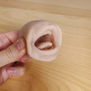 Bouche de démonstration en silicone AKAM