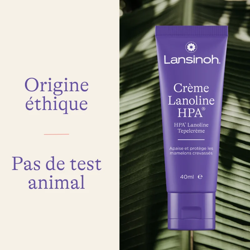 Crème Lanoline Lansinoh – Image 6